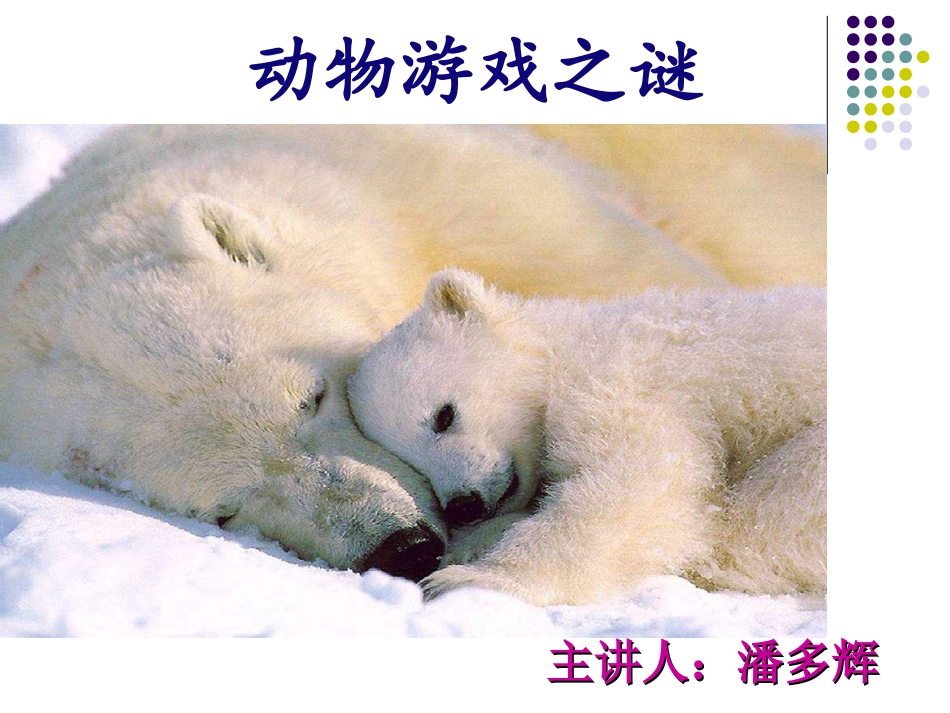 动物游戏之谜潘_第1页