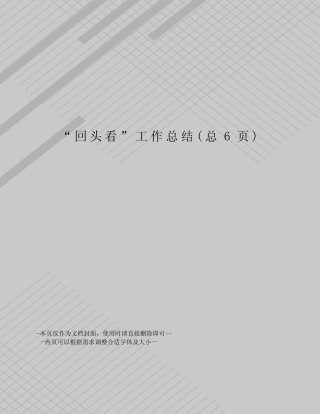 “回头看”工作总结 