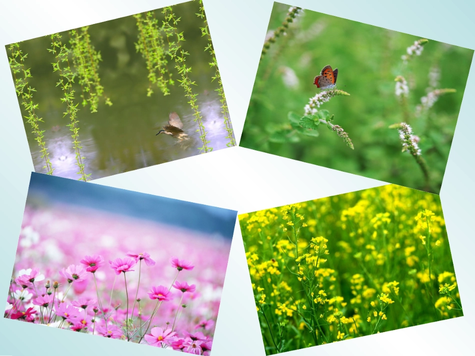 《四季》课件3_第2页