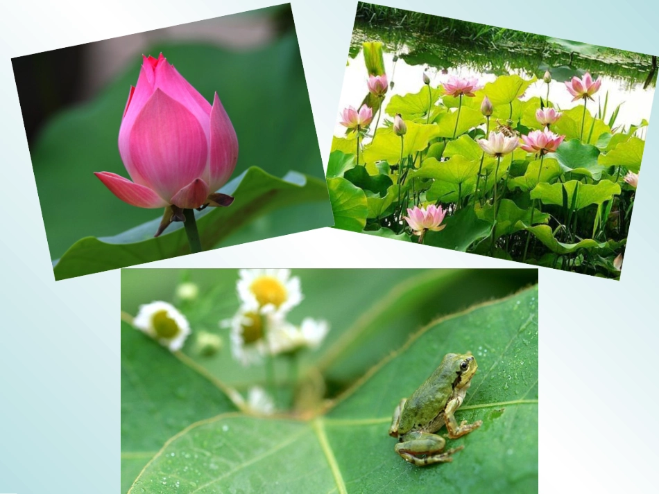 《四季》课件3_第3页