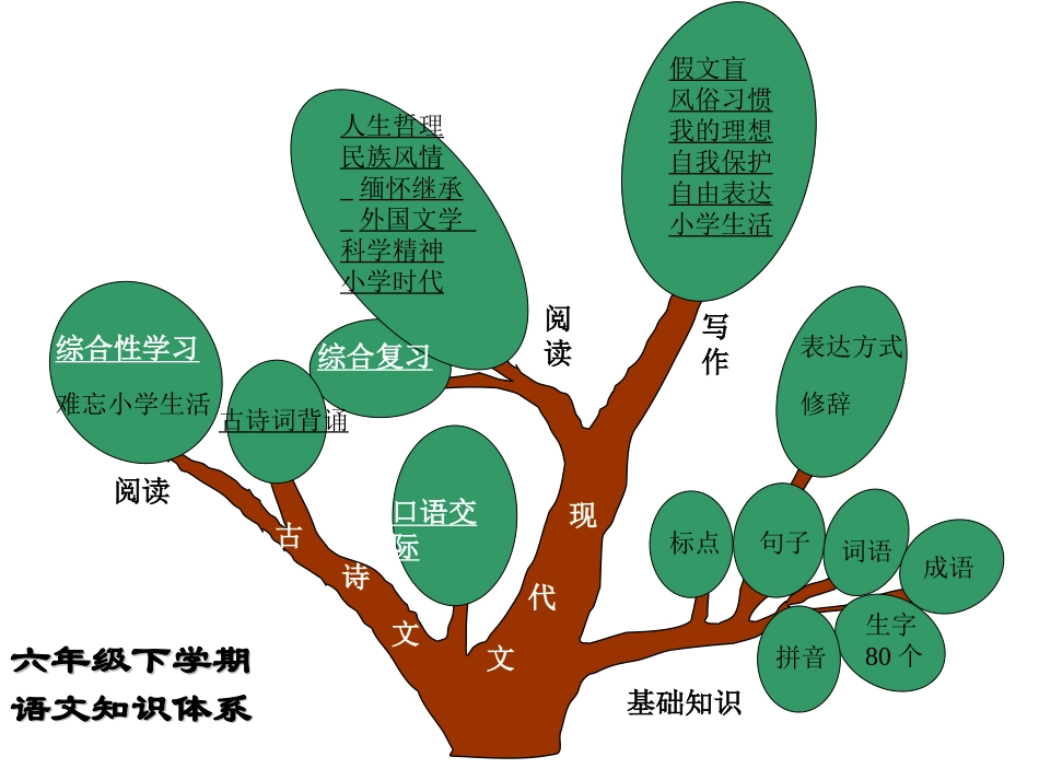 六年级复习纲要_第3页