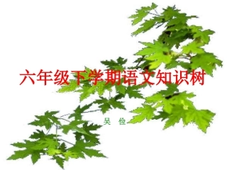 六年级复习纲要