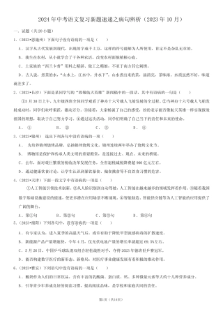 2024年中考语文分类复习——病句辨析 