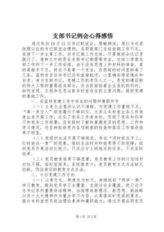 支部书记例会心得感悟
