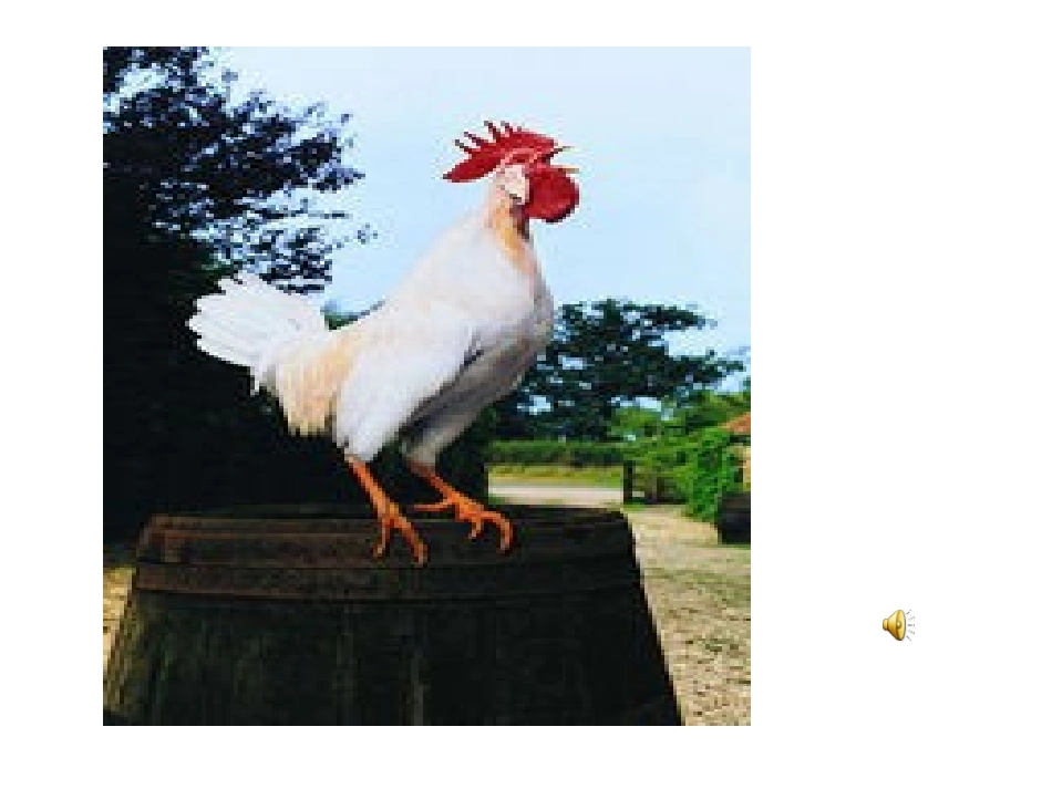 小班科学《好听的声音》_第3页