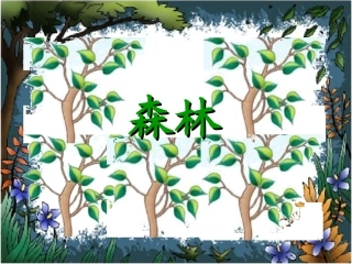 小熊住山洞 (3)