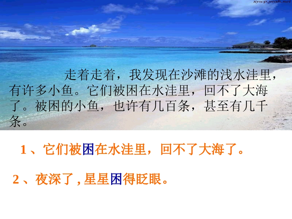 浅水洼里的小鱼PPT课件 _第3页
