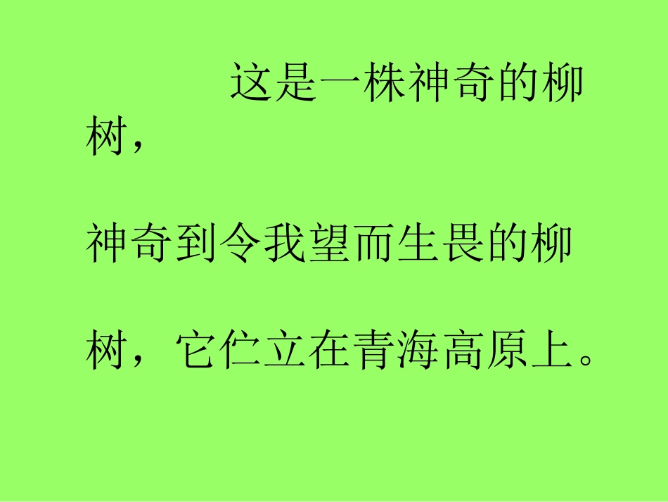 青海高原一株柳 (2)_第2页