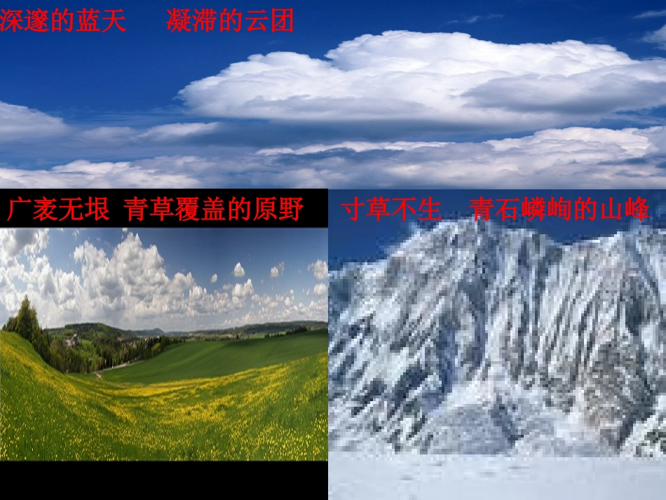 青海高原一株柳 (2)_第3页