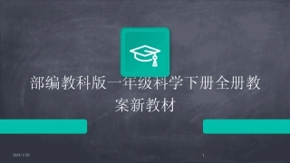 2024版部编教科版一年级科学下册全册教案新教材 