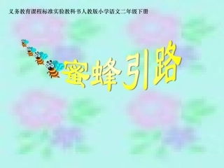 《蜜蜂引路》课件