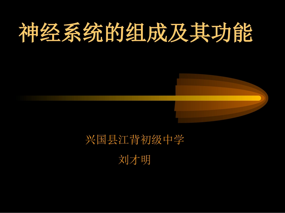 神经系统的组成和功能(微课用)_第1页