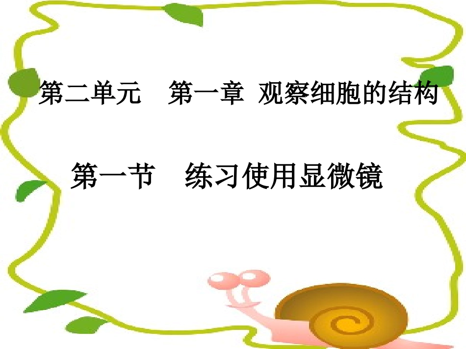 练习使用显微镜_第1页