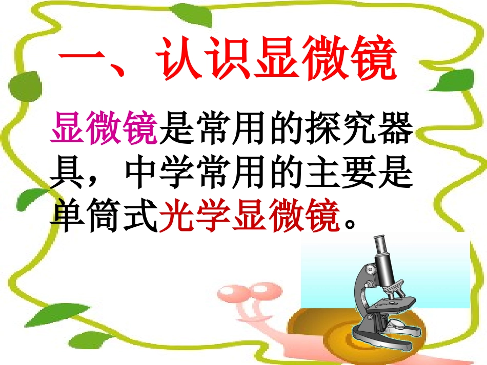 练习使用显微镜_第2页