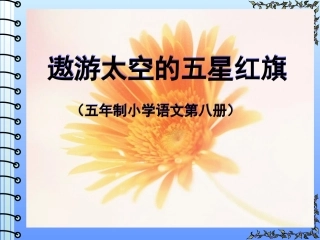 遨游太空的五星红旗01