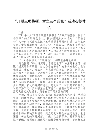 “开展三项整顿、树立三个形象”活动心得体会