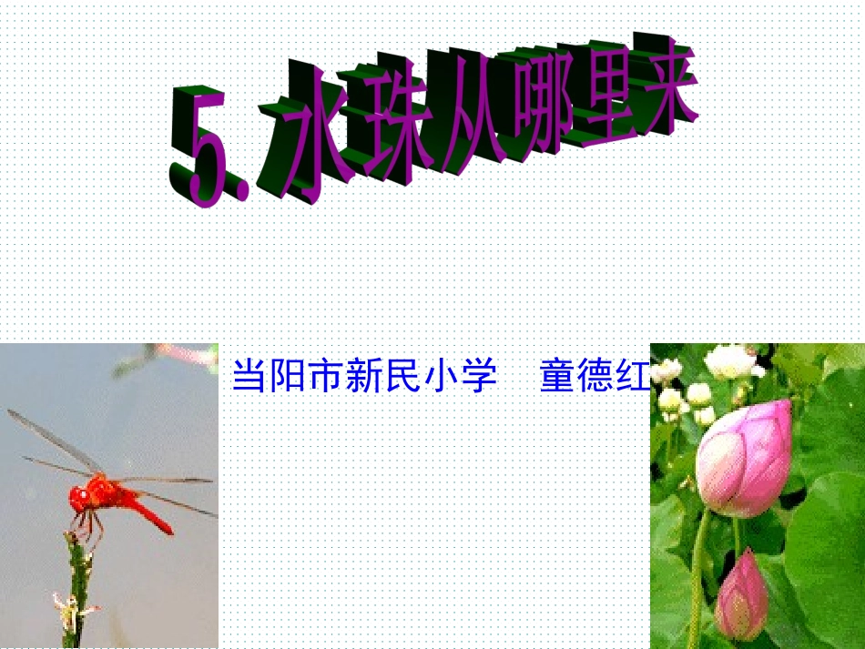 水珠从哪里来_第1页