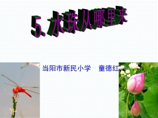 水珠从哪里来