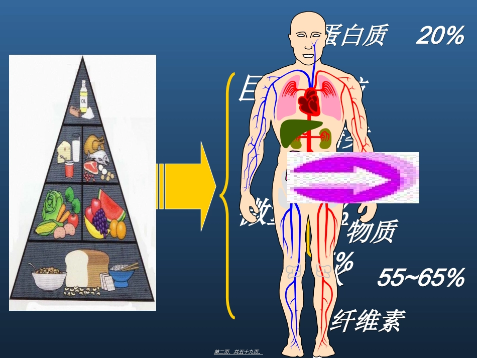 七大营养素-营养_第2页