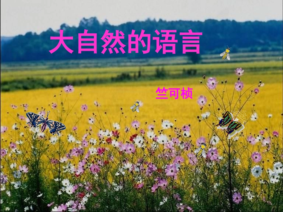 大自然的语言课件_第3页