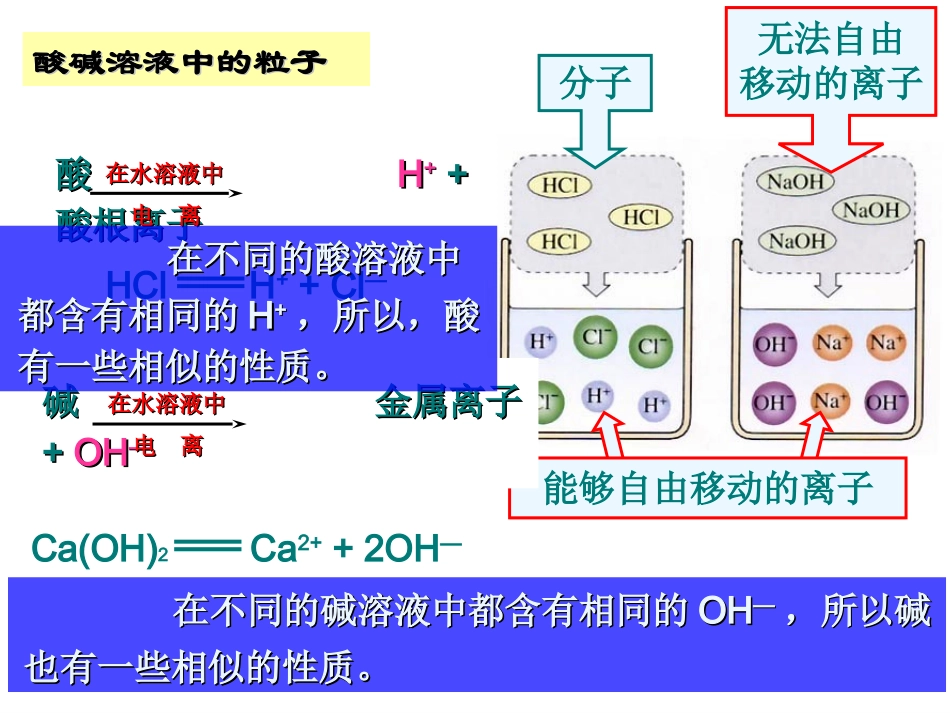 课题1、常见的酸和碱_课件Y_第2页