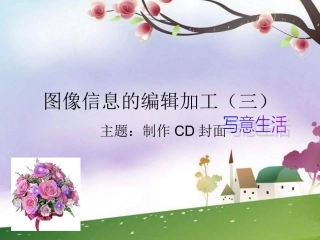 《编辑加工图形图象》