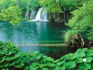 人教版二年级上册识字3课件