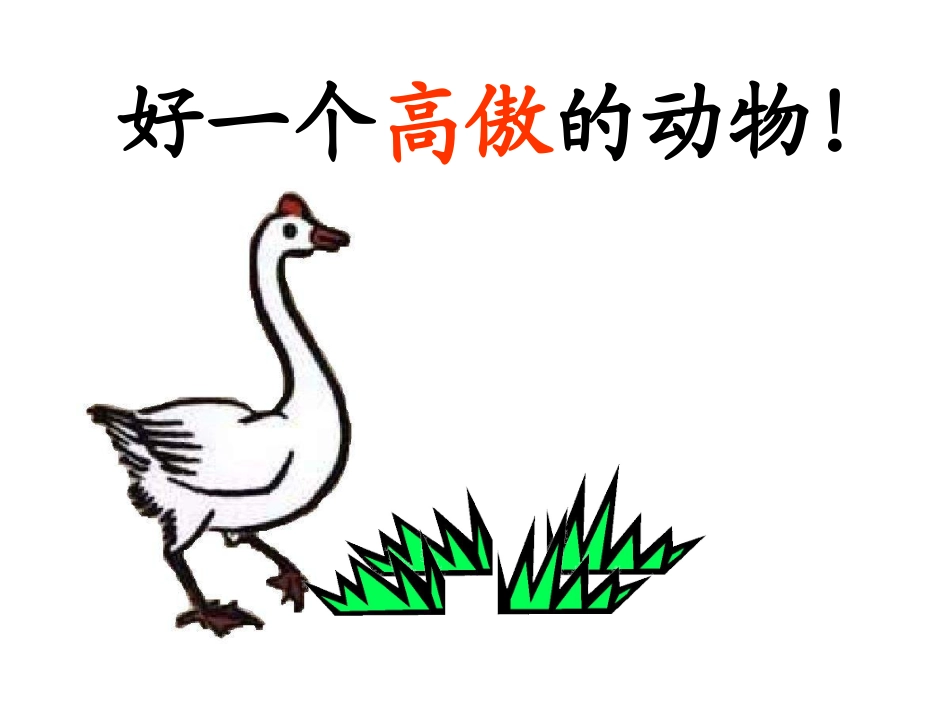 周海涛白鹅课件_第2页