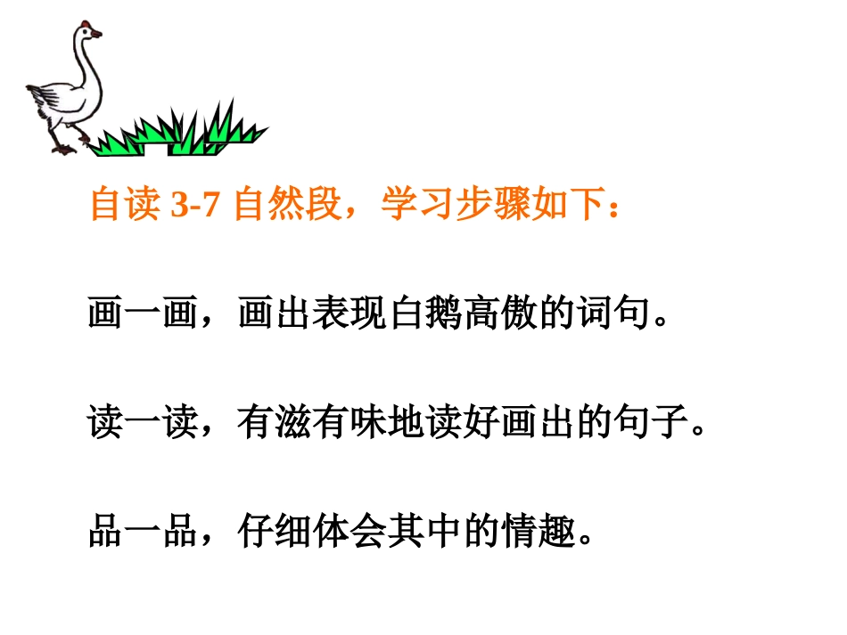 周海涛白鹅课件_第3页