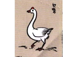 周海涛白鹅课件