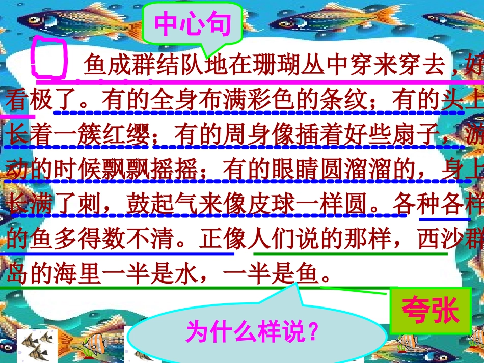 富饶的西沙群岛固镇三小何新红_第3页
