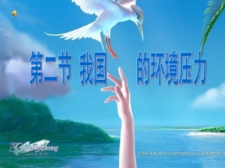 我国环境的压力