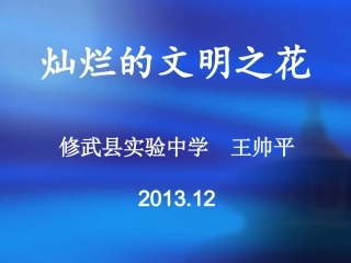 灿烂的文明之花