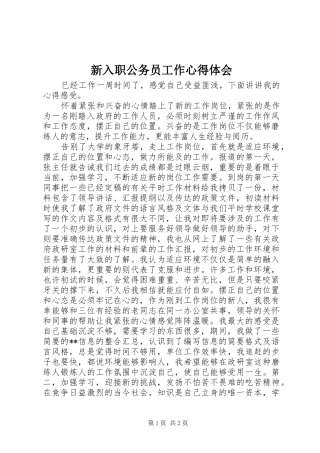 新入职公务员工作心得体会