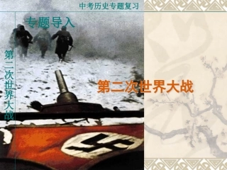 中考专题-二战