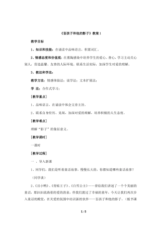 《盲孩子和他的影子》教案1