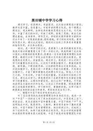 黑田铺中学学习心得