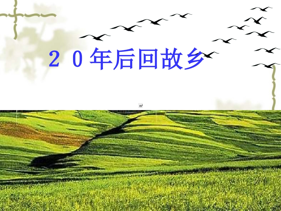 《20年后回故乡》的习作教学课件_第3页
