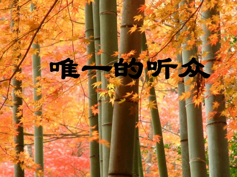 《唯一的听众》参考课件_第1页
