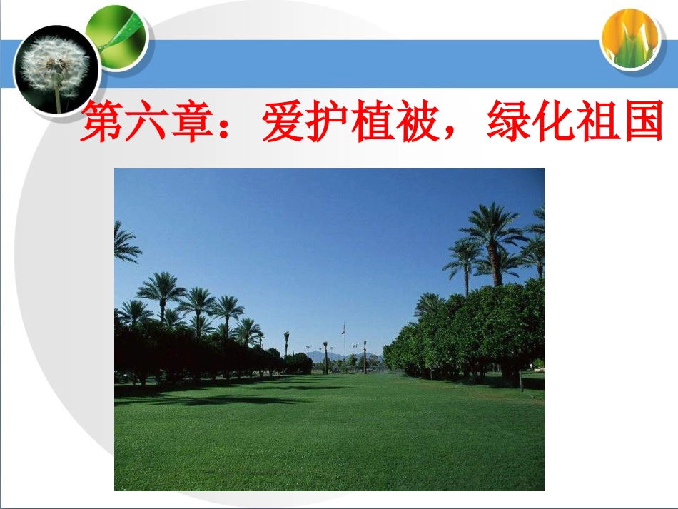 《爱护植被，绿化祖国》优质参考课件_第1页