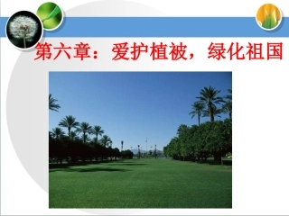 《爱护植被，绿化祖国》优质参考课件