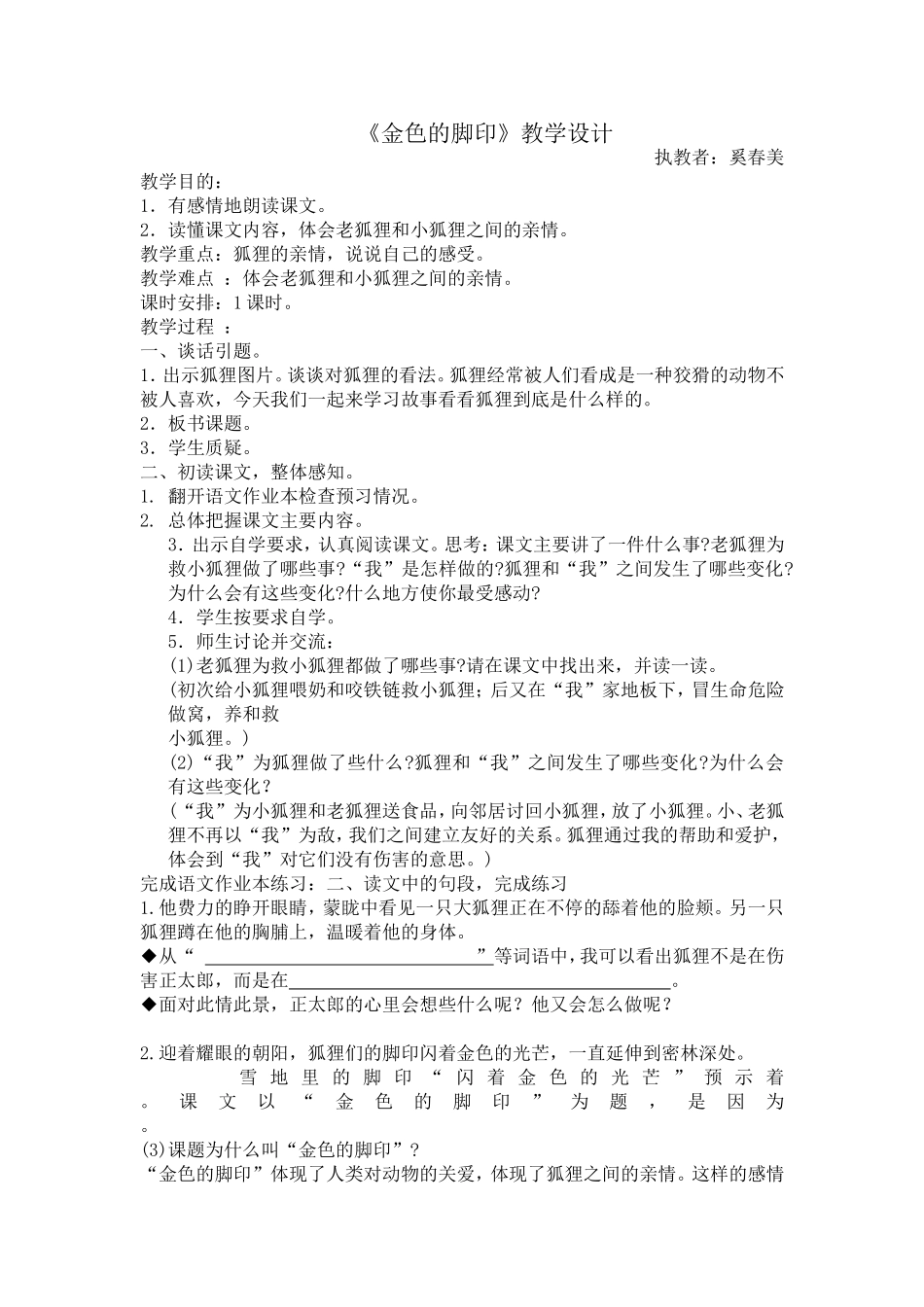 《金色的脚印》教案_第1页