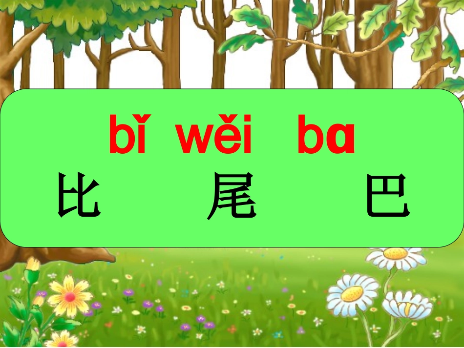 比尾巴第二课时教学_第1页