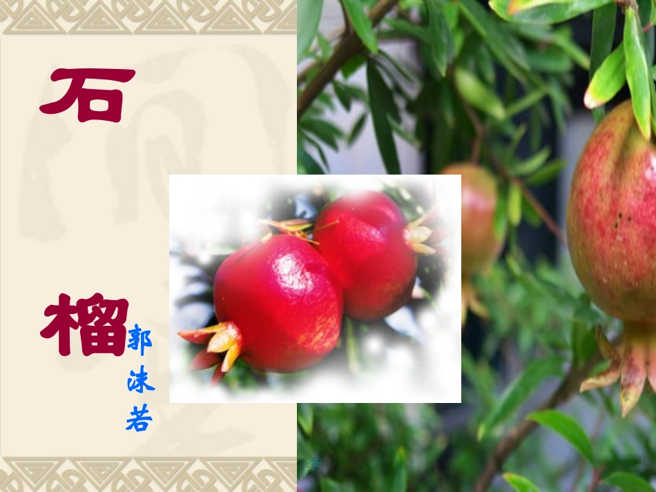 初一语文版《石榴》_第2页