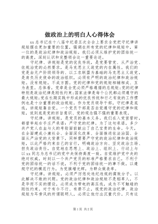 做政治上的明白人心得体会