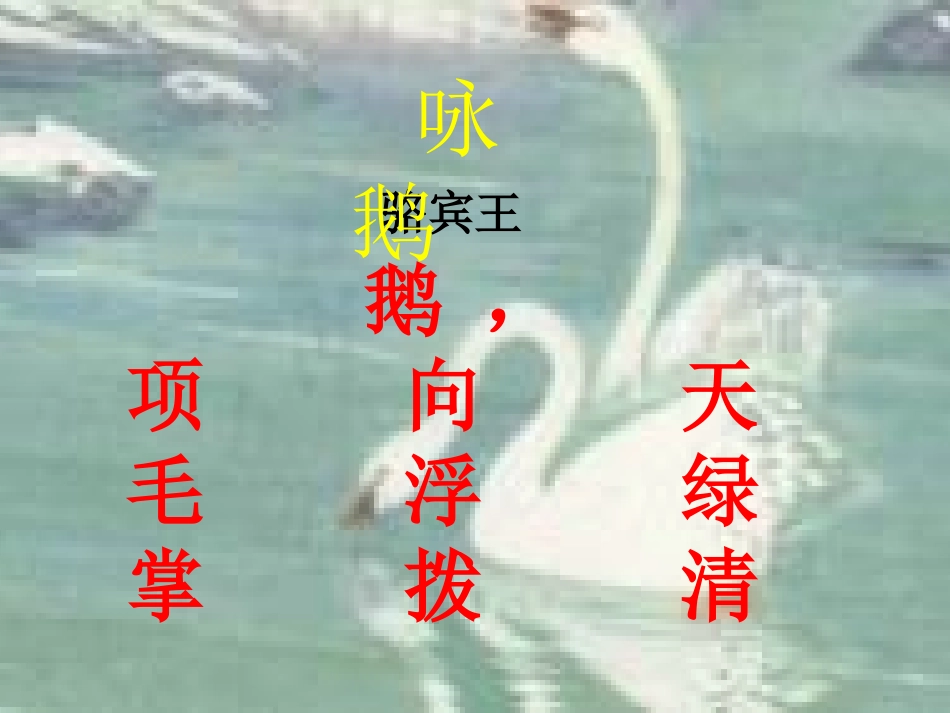 四年级上册白鹅_第1页