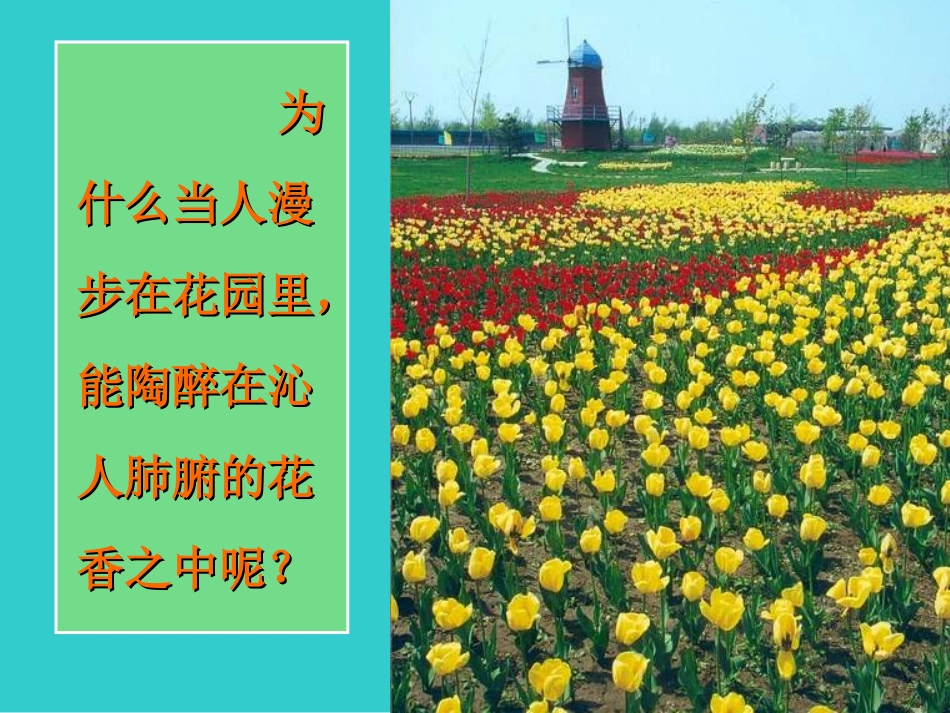 九年级分子原子课件第一节_第3页