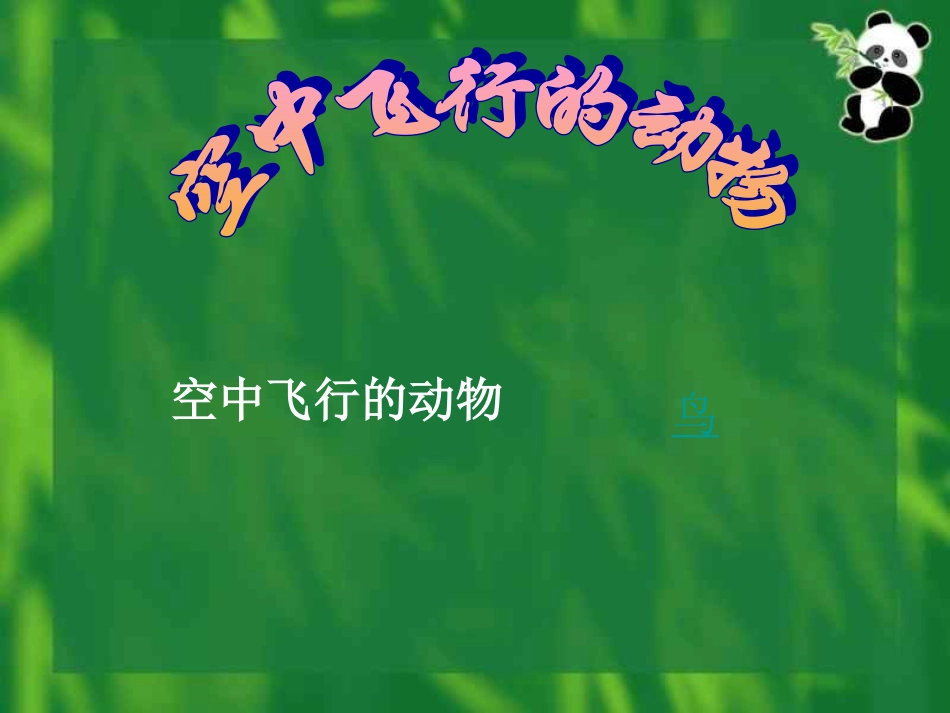 空中飞行的动物_第1页