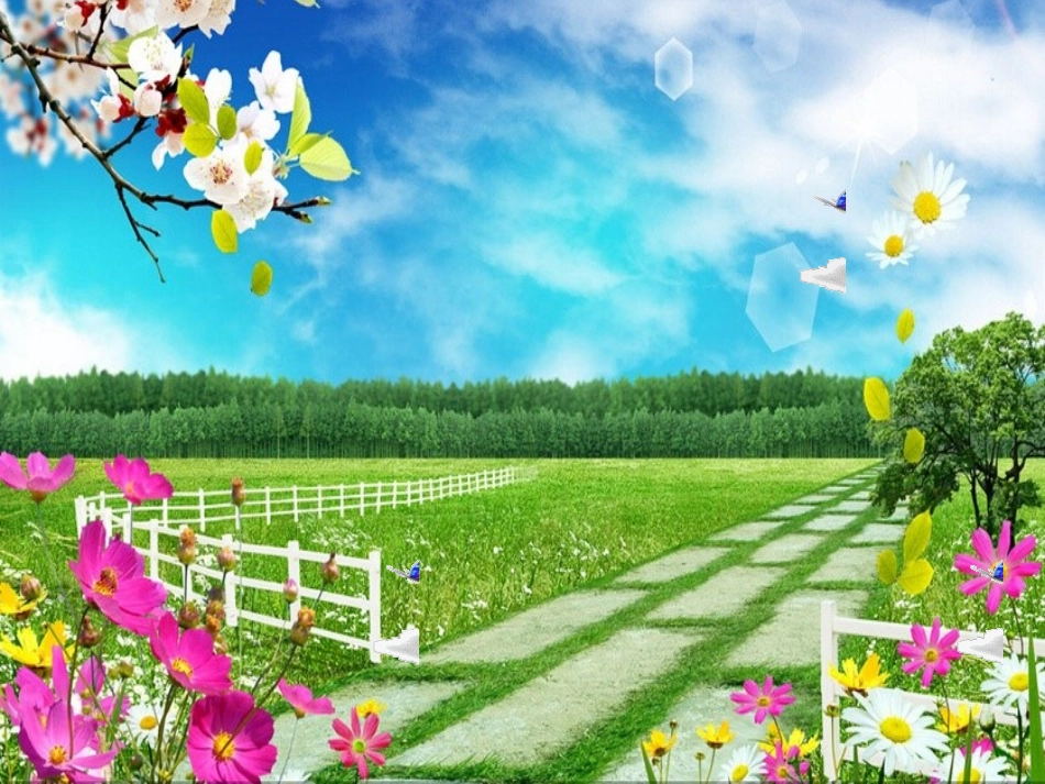 轴对称图形 (3)_第1页