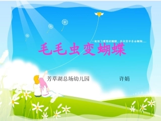毛毛虫变蝴蝶-副本